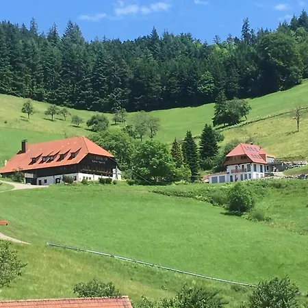 شقة Mit Whirlpool Und Fass Sauna Im Schwarzwald هاوزاخ