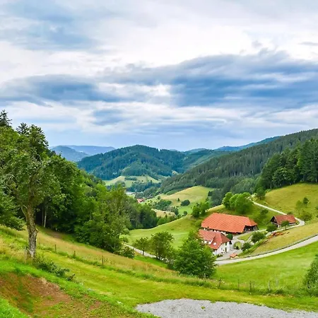 Mit Whirlpool Und Fass Sauna Im Schwarzwald *