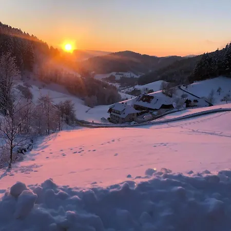 شقة Mit Whirlpool Und Fass Sauna Im Schwarzwald هاوزاخ